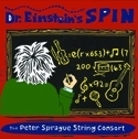 Dr. Einstein's Spin Category